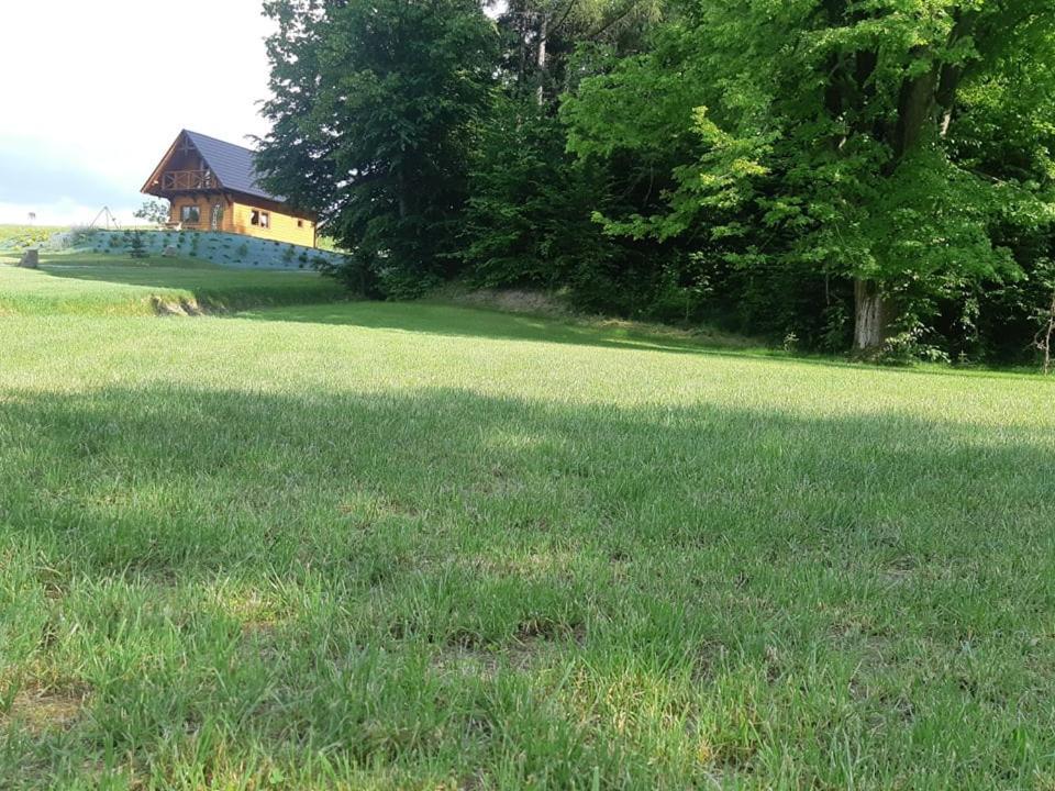 Domek Na Wzgorzu "Wilk" Swiatkowa Mala Εξωτερικό φωτογραφία